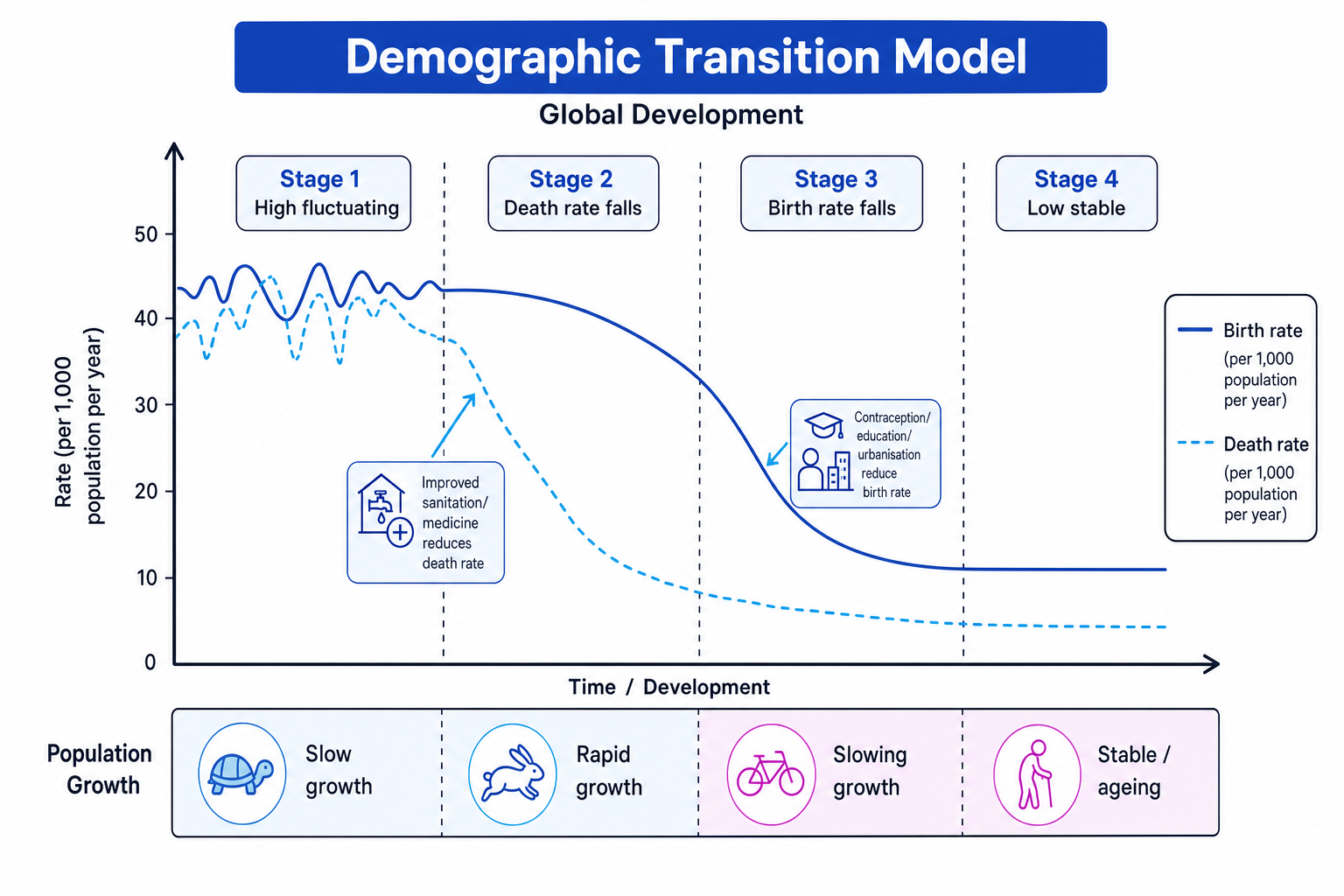 Demographic transition model showing birth rates, death rates and population growth across four stages