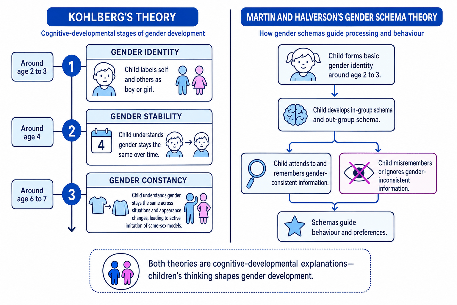 Diagram comparing Kohlberg’s three stages with Martin and Halverson’s gender schema theory