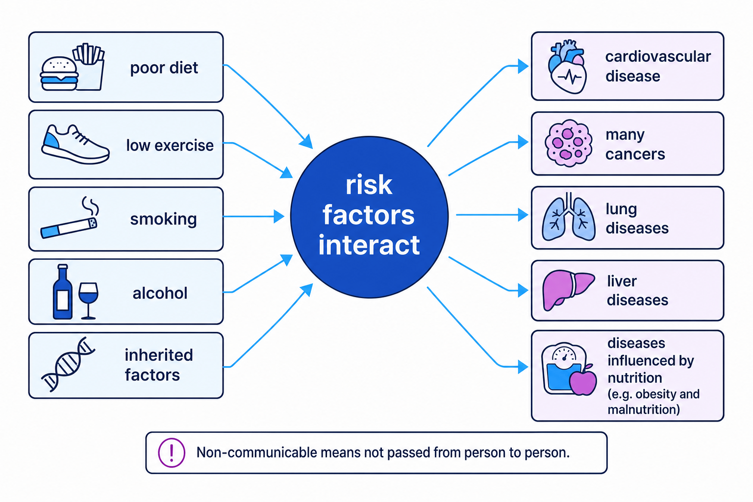 Concept map showing lifestyle and inherited risk factors interacting to influence non-communicable diseases