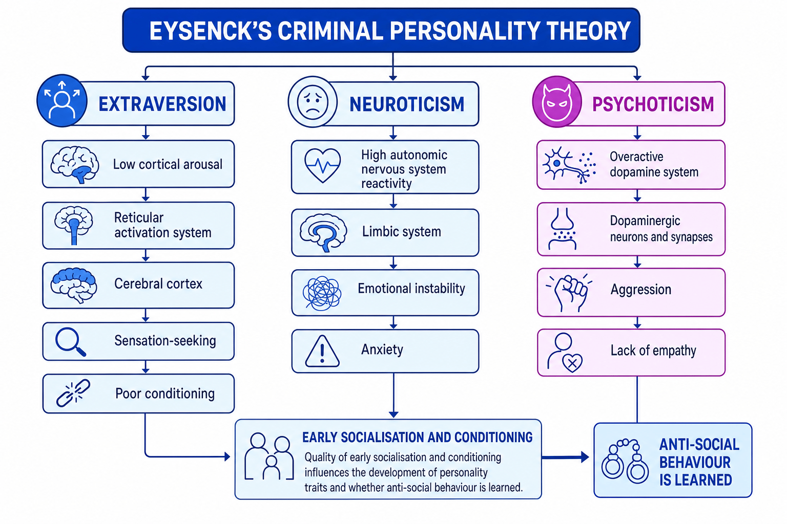 Schematic of Eysenck's Criminal Personality Theory showing extraversion, neuroticism and psychoticism with related brain systems