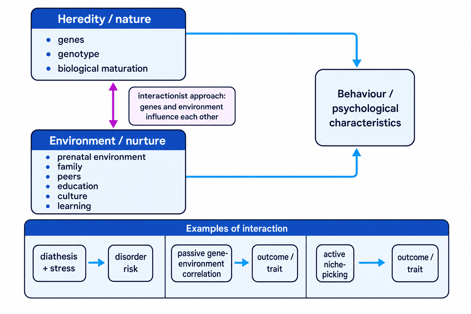 Schematic showing heredity and environment influencing behaviour, with interactionist examples including diathesis-stress and gene-environment correlation