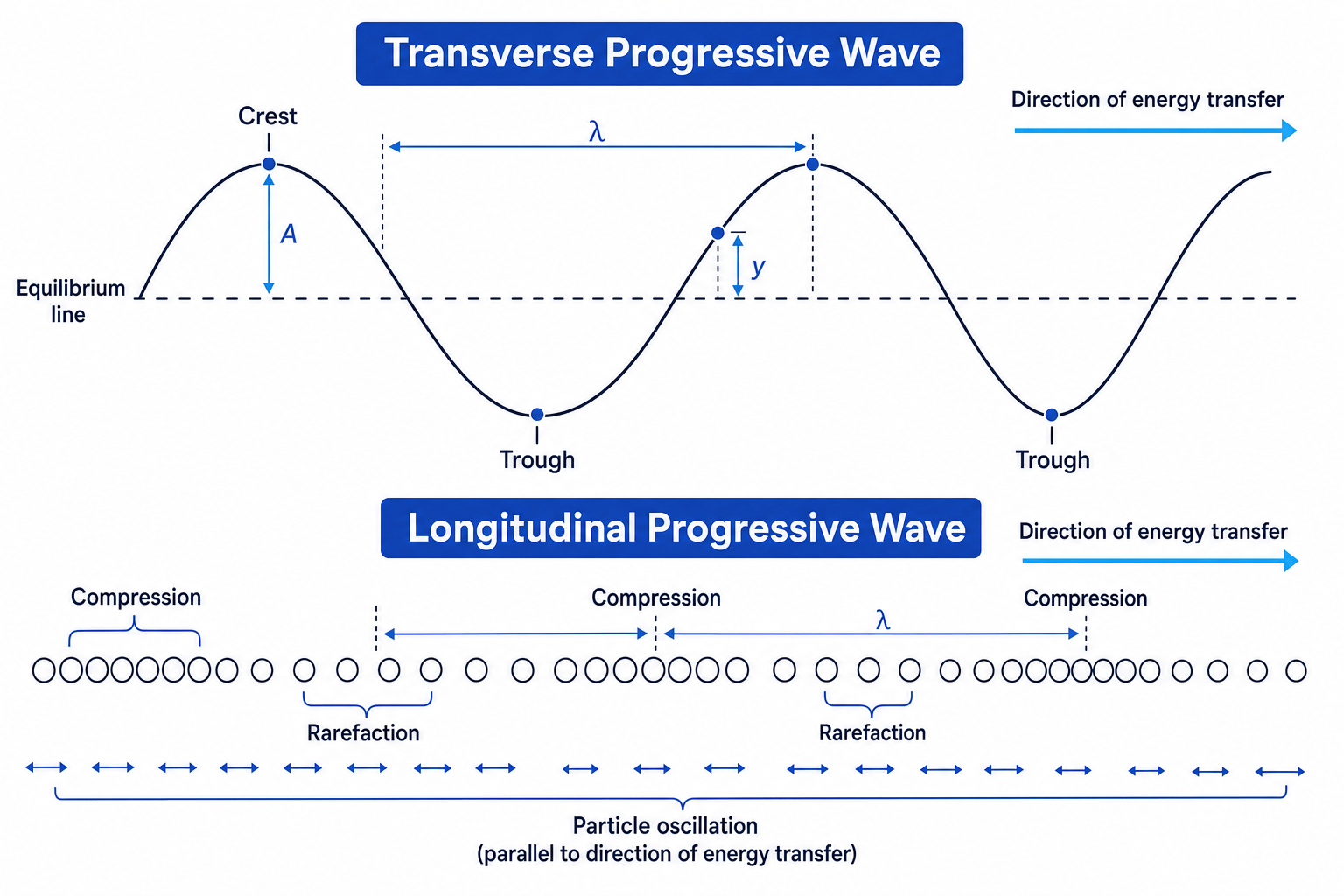 Transverse and longitudinal progressive waves labelled with amplitude, wavelength, displacement, compressions and rarefactions