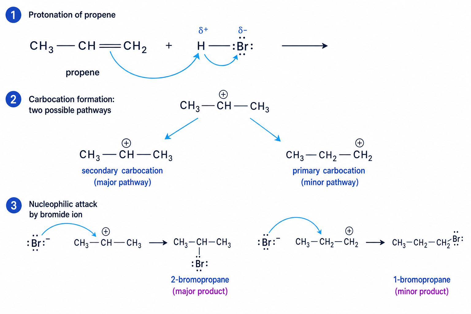 Electrophilic Addition Mechanism