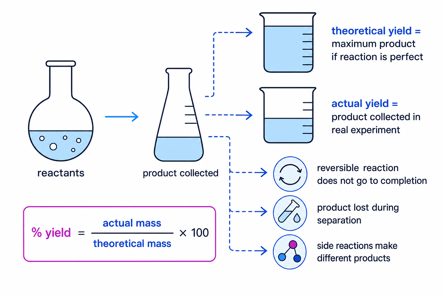 Schematic showing theoretical yield, actual yield, and reasons actual yield can be lower