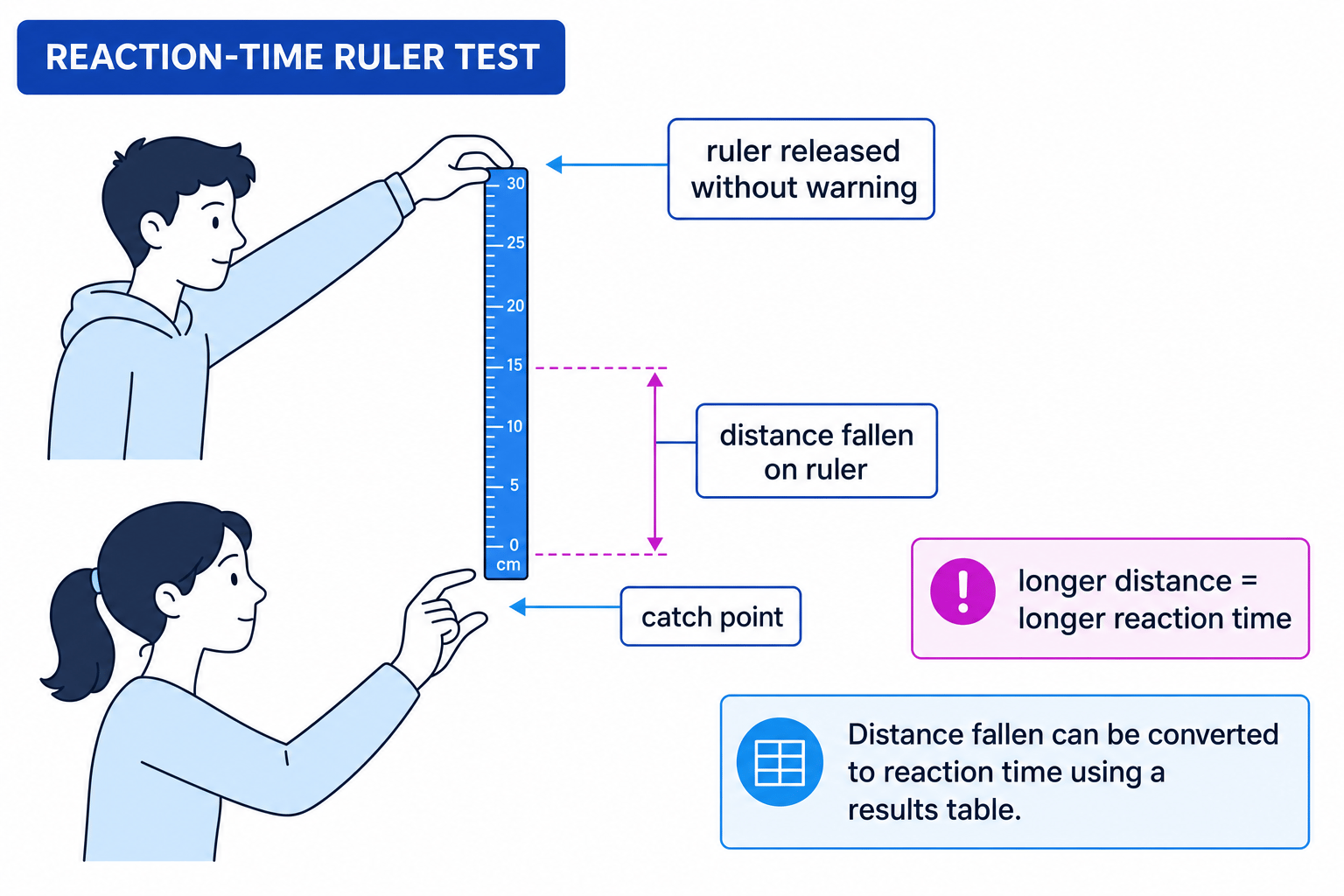 A labelled ruler-drop reaction-time test showing distance fallen and catch point