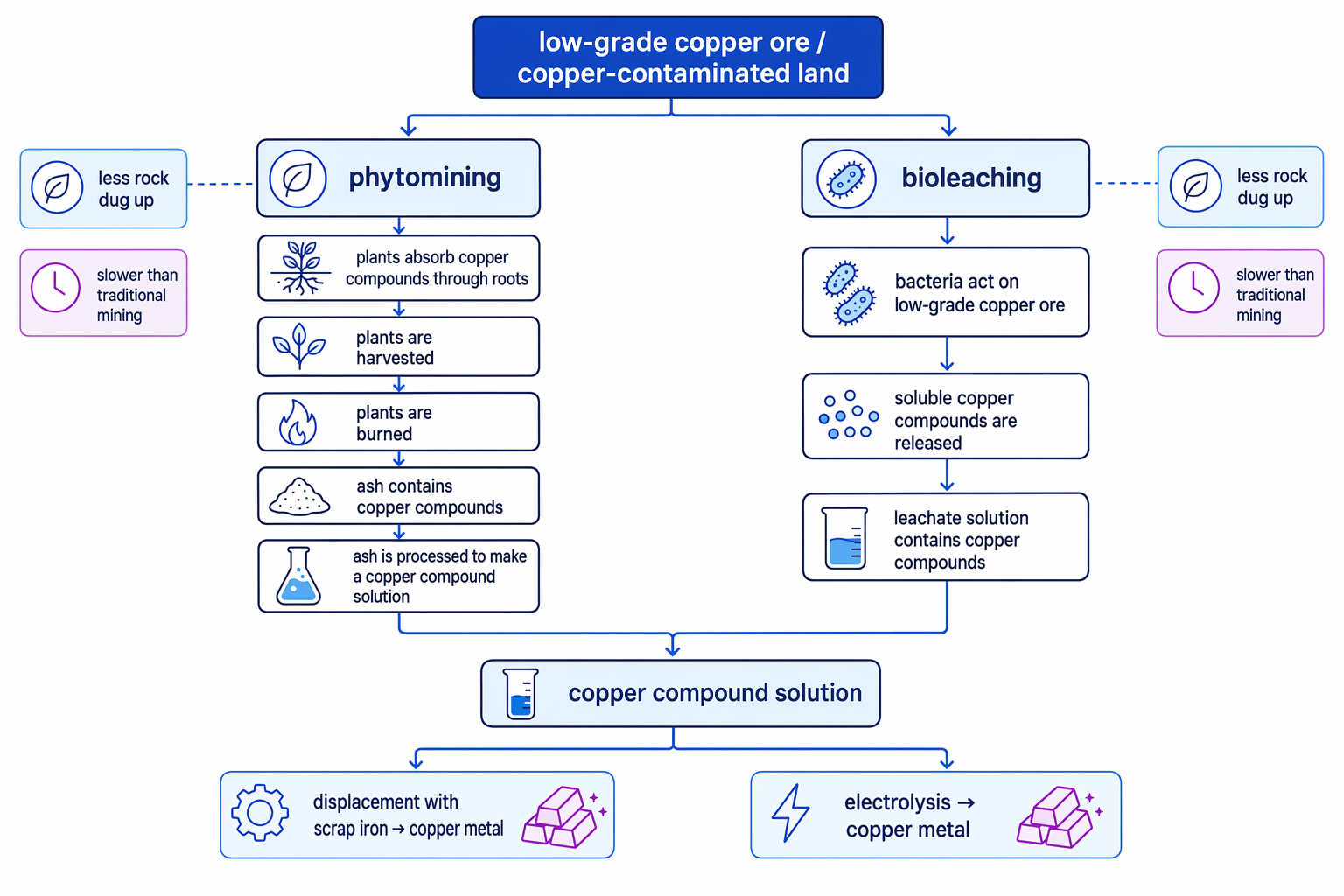 Flowchart comparing phytomining and bioleaching routes from low-grade copper ore to copper metal