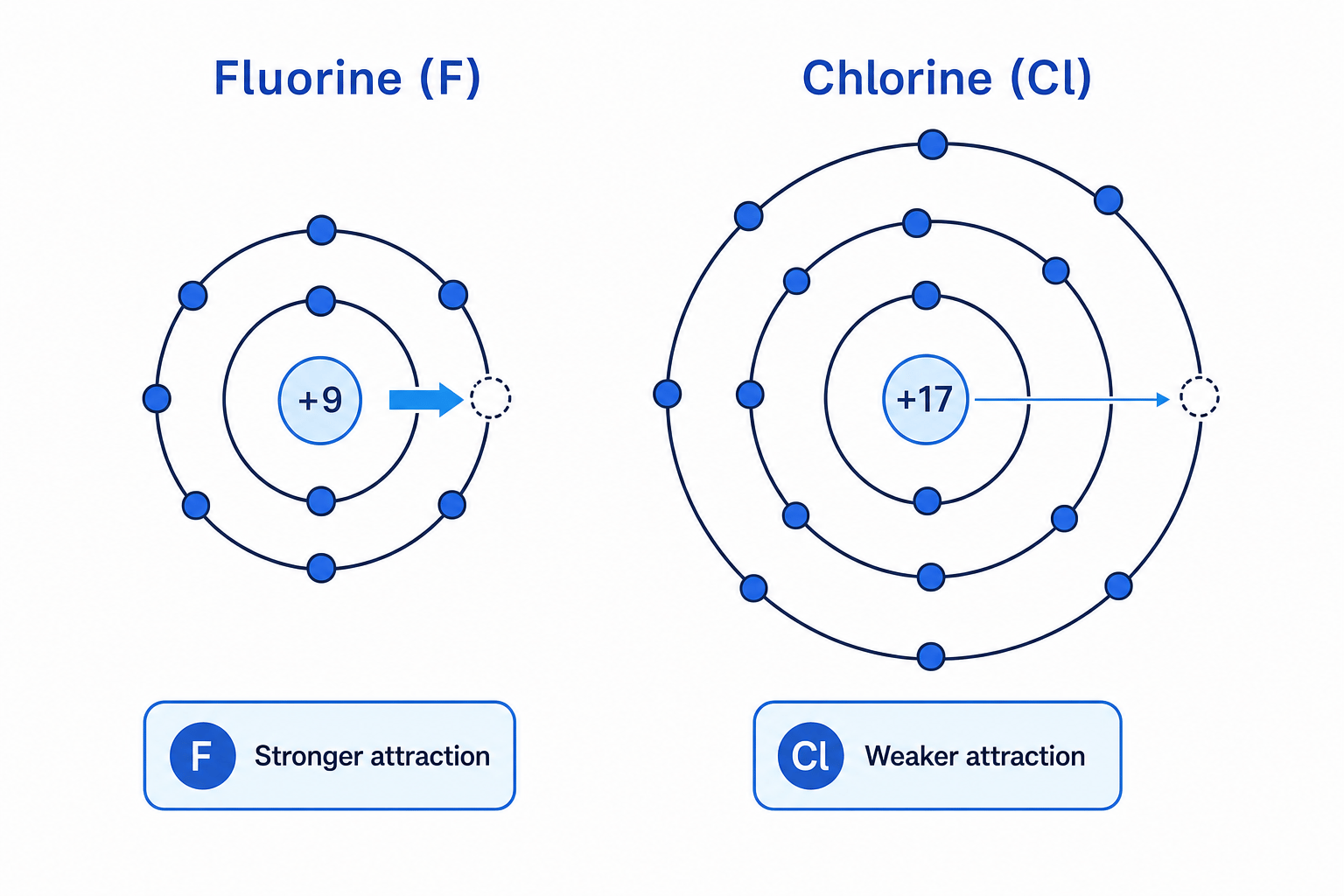 Reactivity trend in halogens