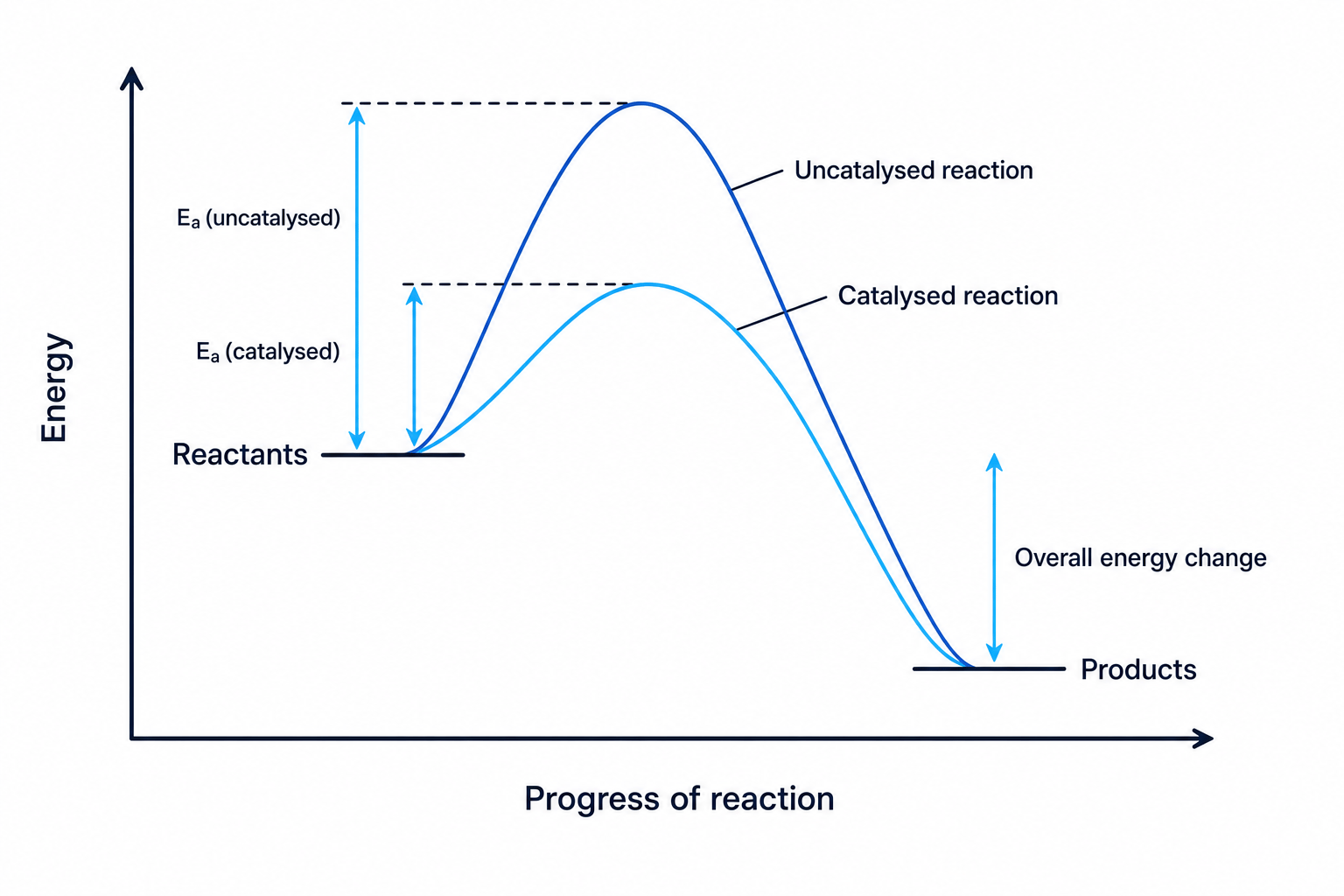 Reaction profile diagram showing the effect of a catalyst