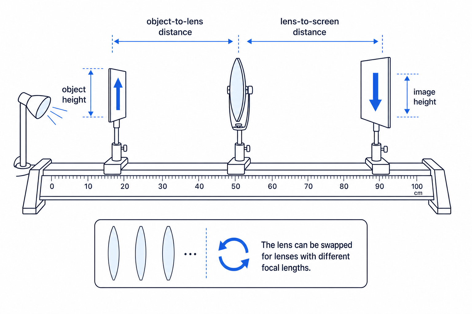 Experimental setup for investigating magnification using a convex lens, illuminated object, screen and metre ruler