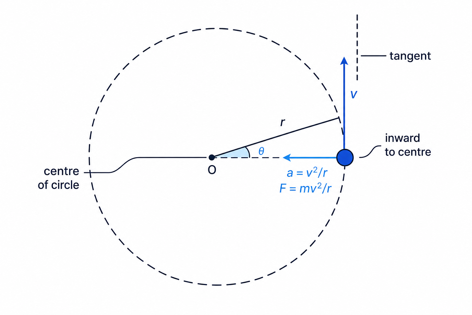 Diagram showing velocity tangent to a circular path and centripetal acceleration and force directed inward