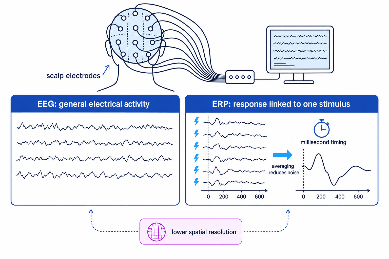 Schematic comparing EEG as general electrical activity with ERPs as averaged responses linked to one stimulus