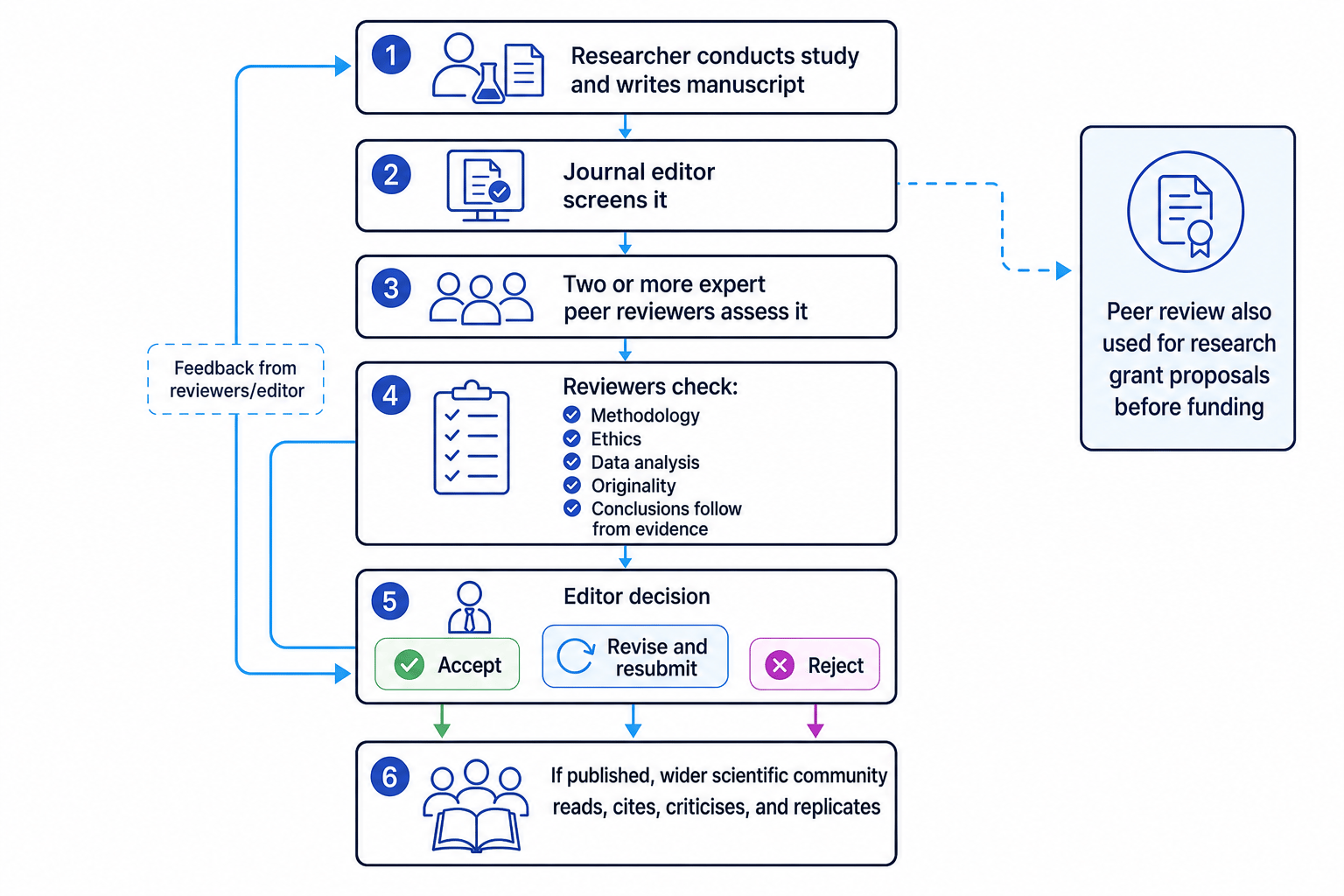 Flowchart showing peer review in the scientific process, from manuscript submission to editor screening, expert review, decision, revision, publication and wider scrutiny
