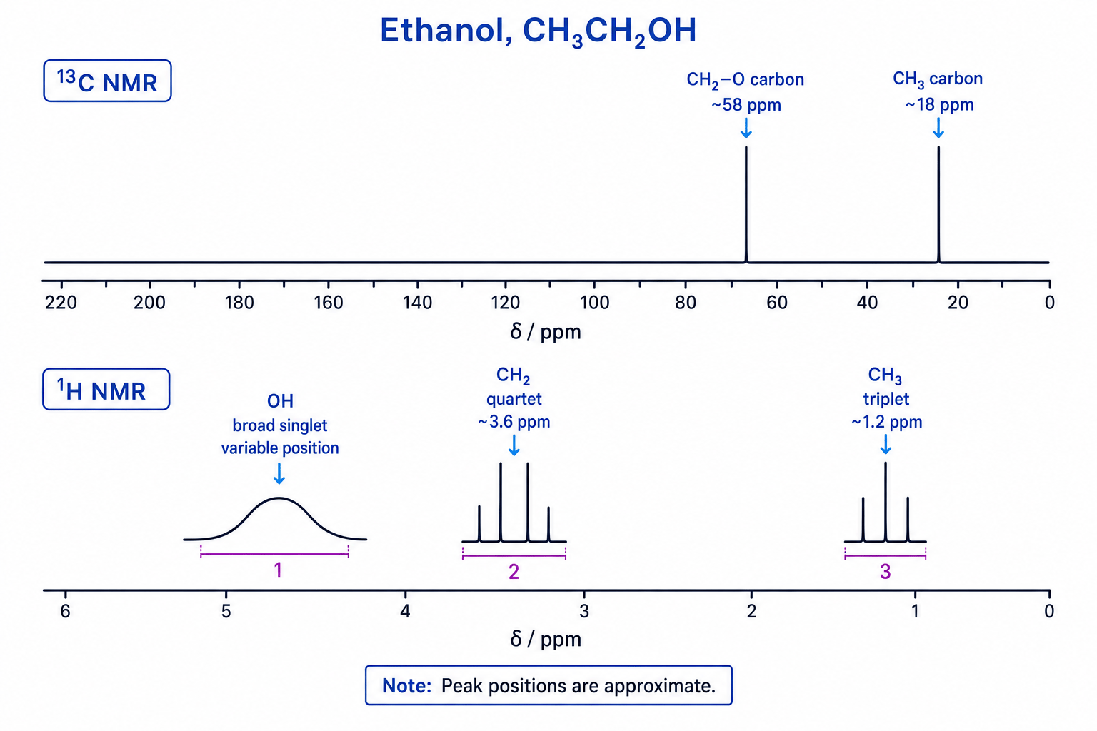 Annotated 13C and 1H NMR spectra for ethanol