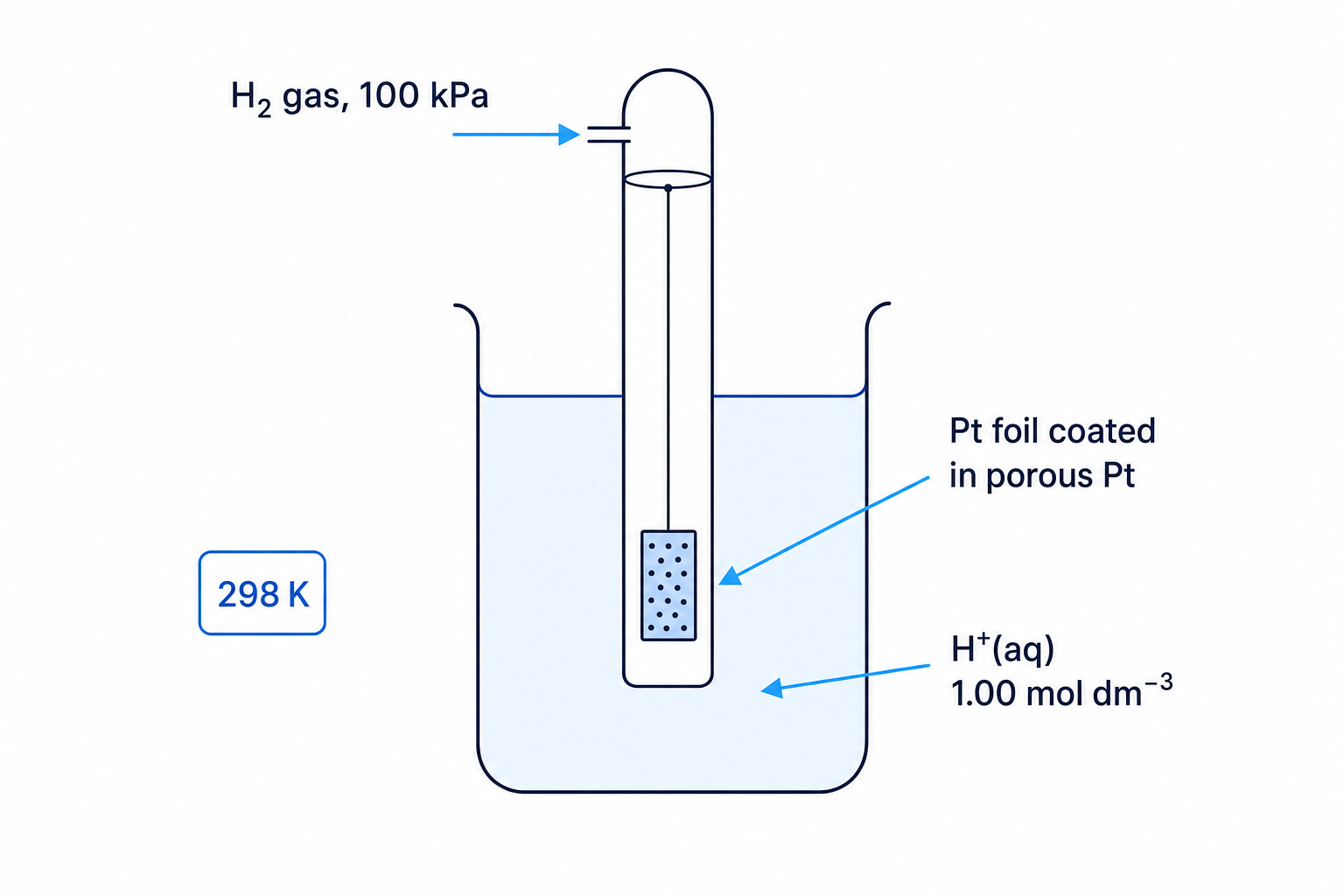 Standard Hydrogen Electrode