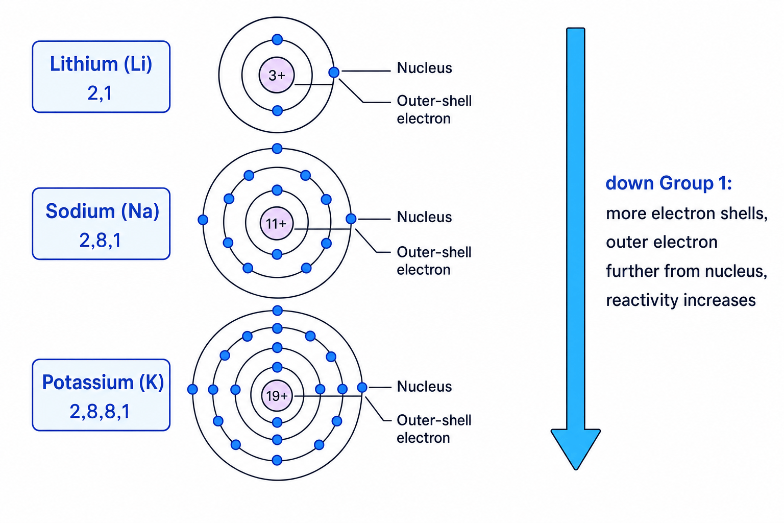 Electron shell diagrams of lithium, sodium and potassium showing one outer-shell electron and increasing reactivity down Group 1