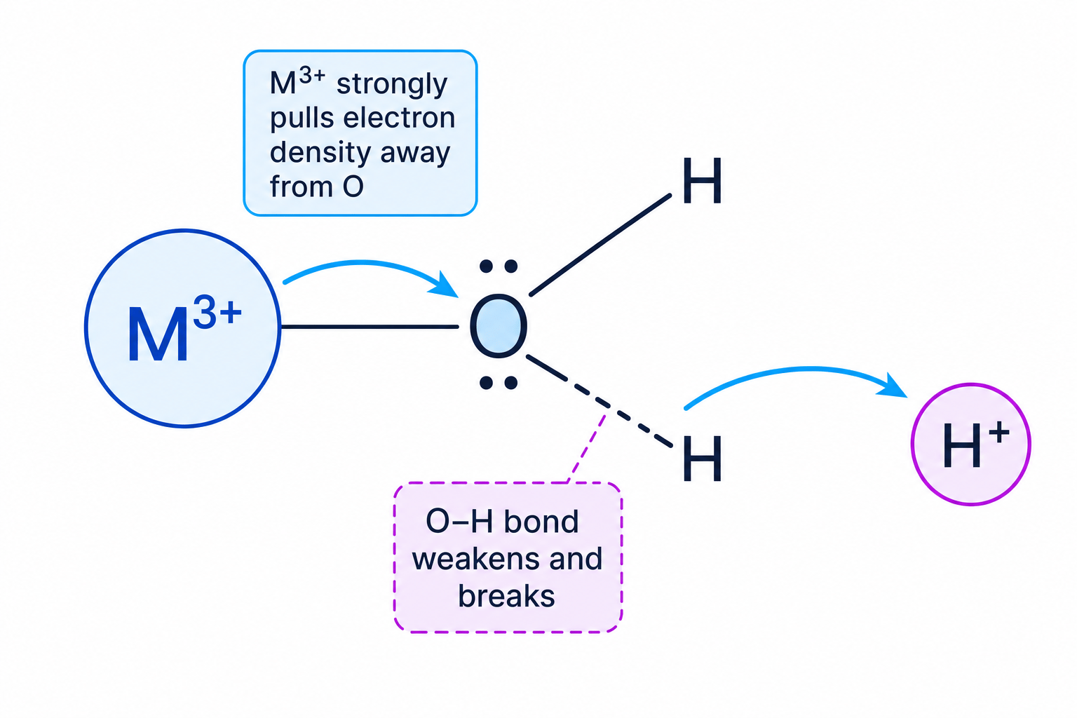 M3+ polarising a water ligand