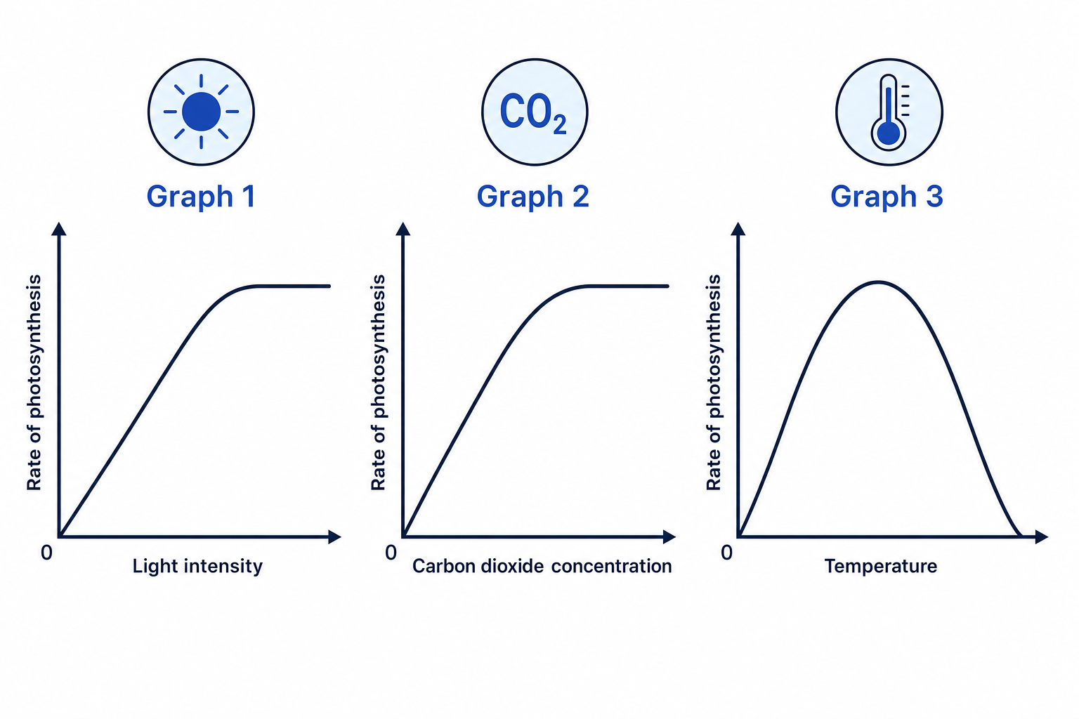 Limiting Factors Graphs