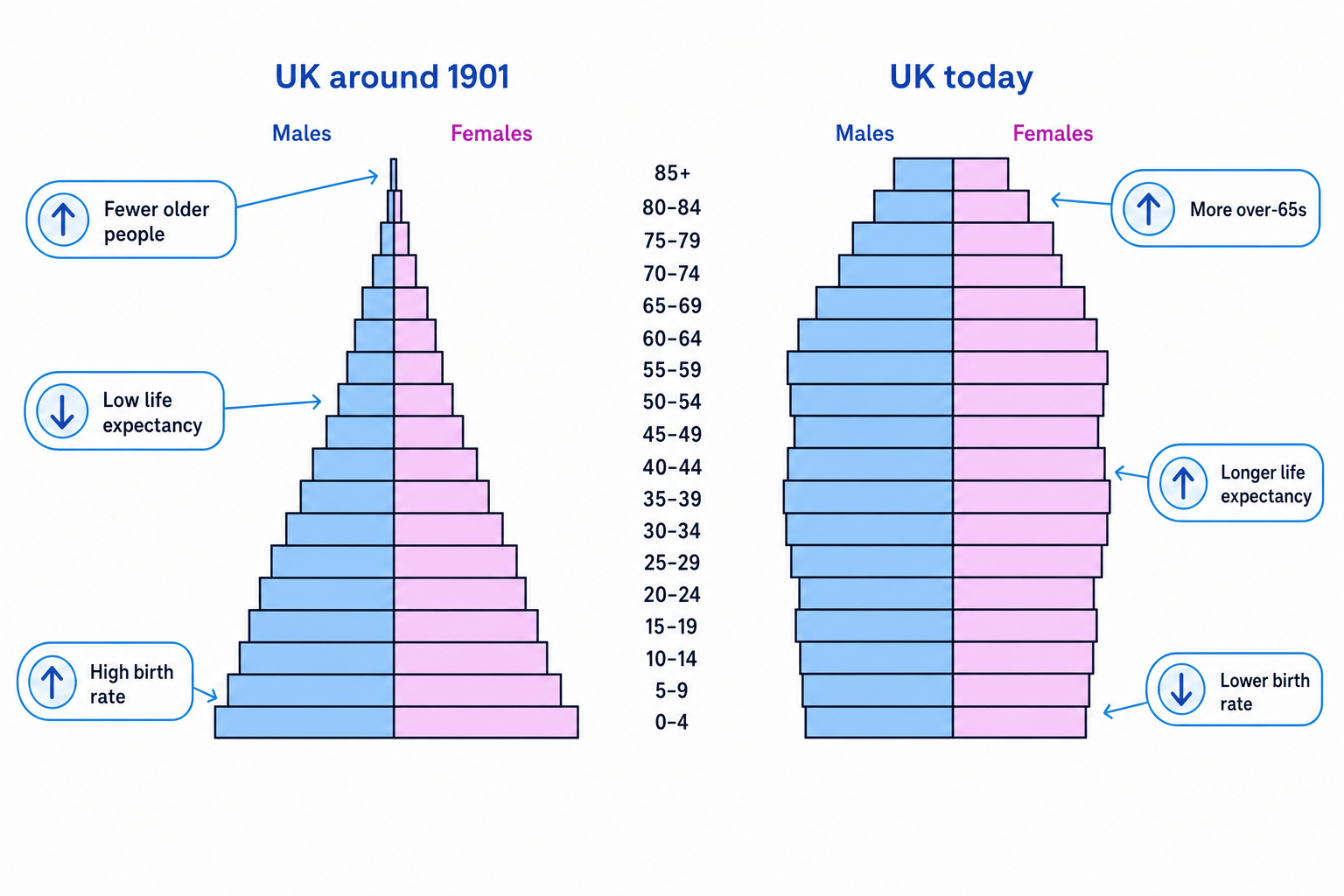 Simplified UK population pyramids comparing around 1901 with today