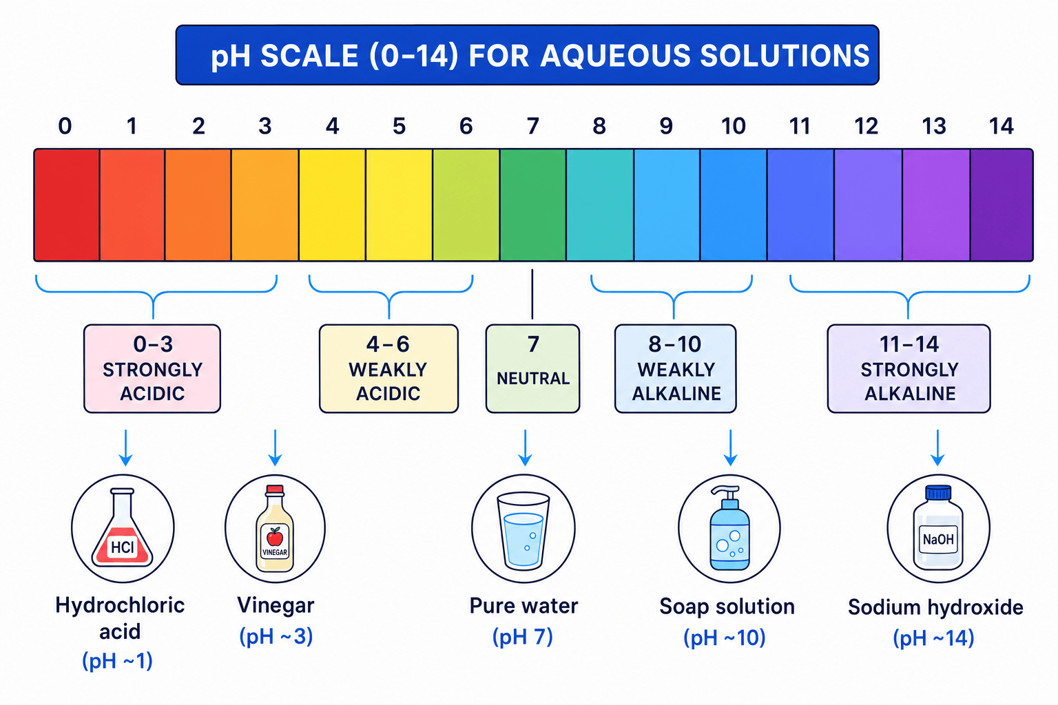 pH scale showing acid, neutral and alkaline ranges with universal indicator colours