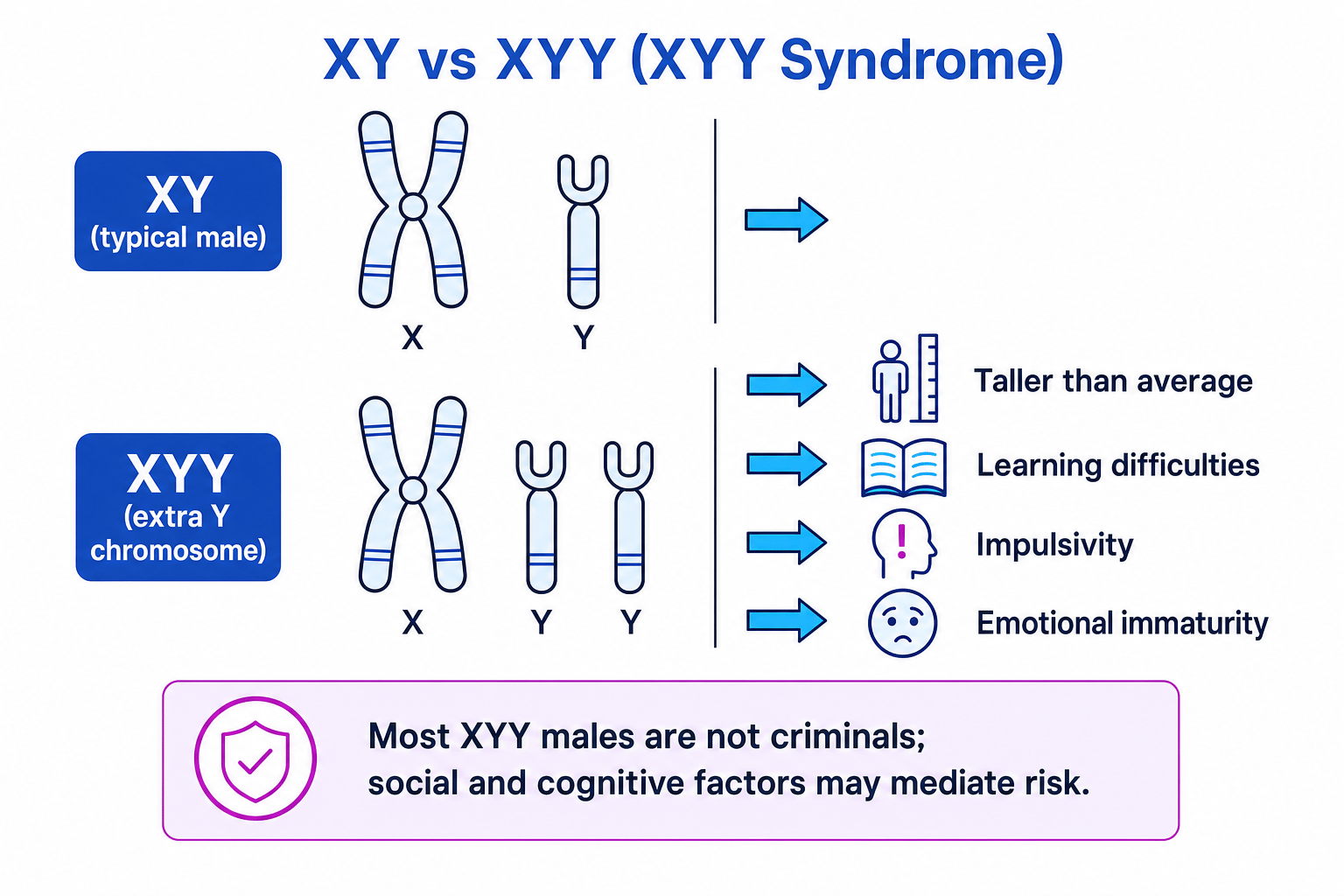 Comparison of typical XY sex chromosomes and XYY syndrome with associated features