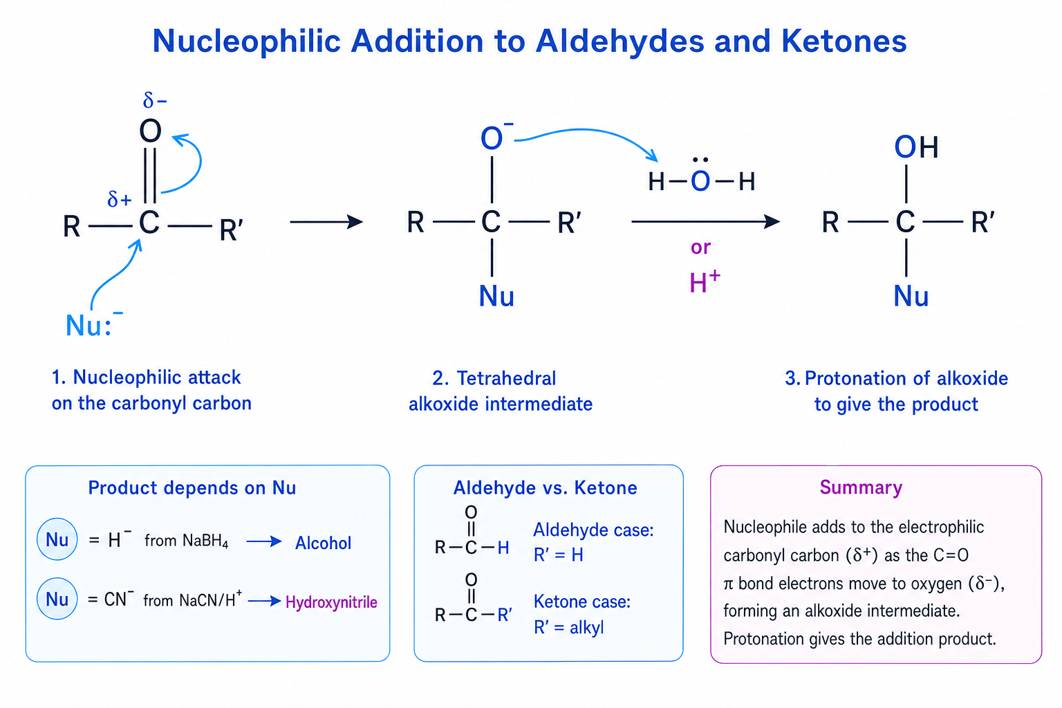 Nucleophilic addition mechanism for aldehydes and ketones