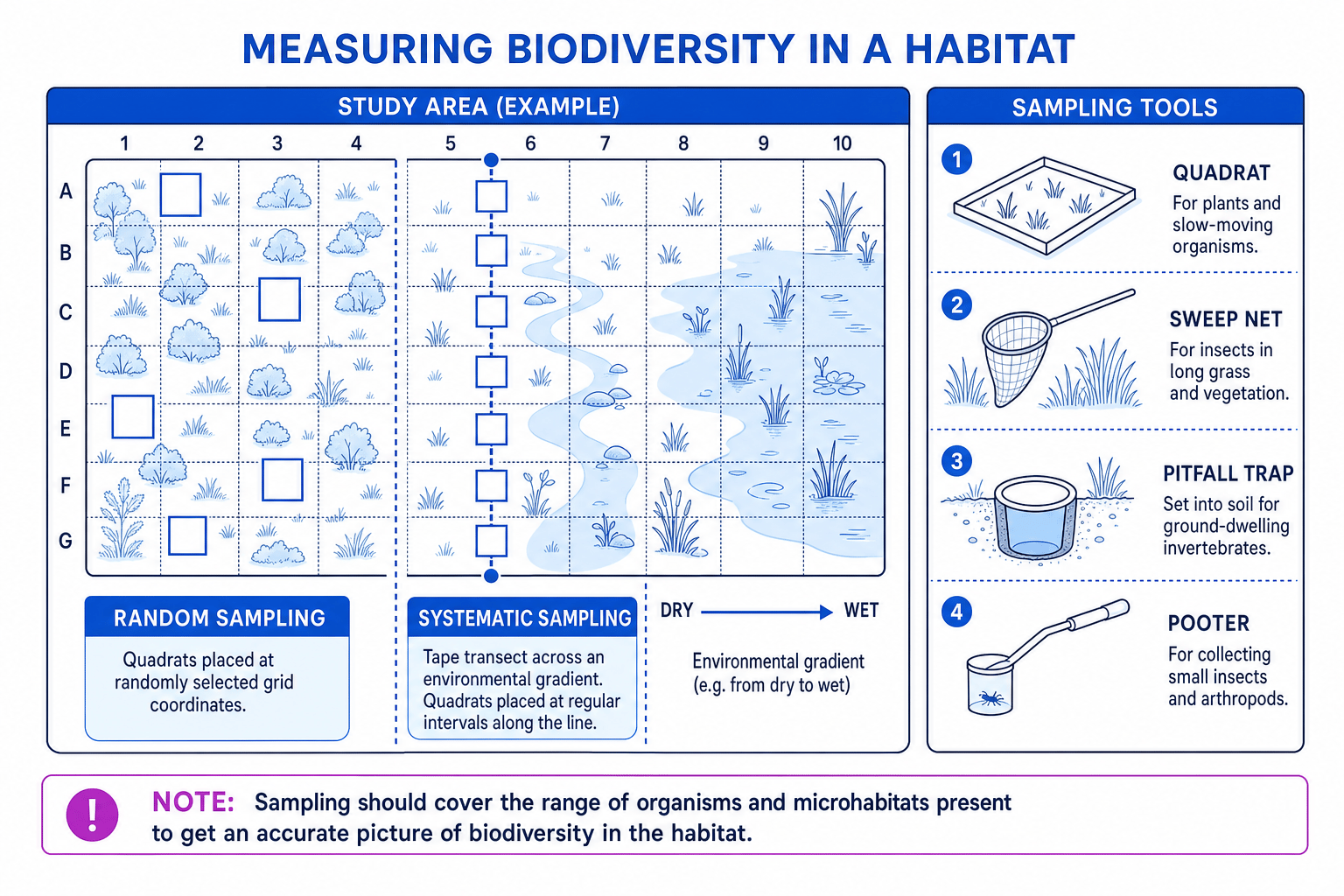 Fieldwork schematic showing random quadrat sampling, systematic transect sampling, and tools including quadrat, sweep net, pitfall trap and pooter