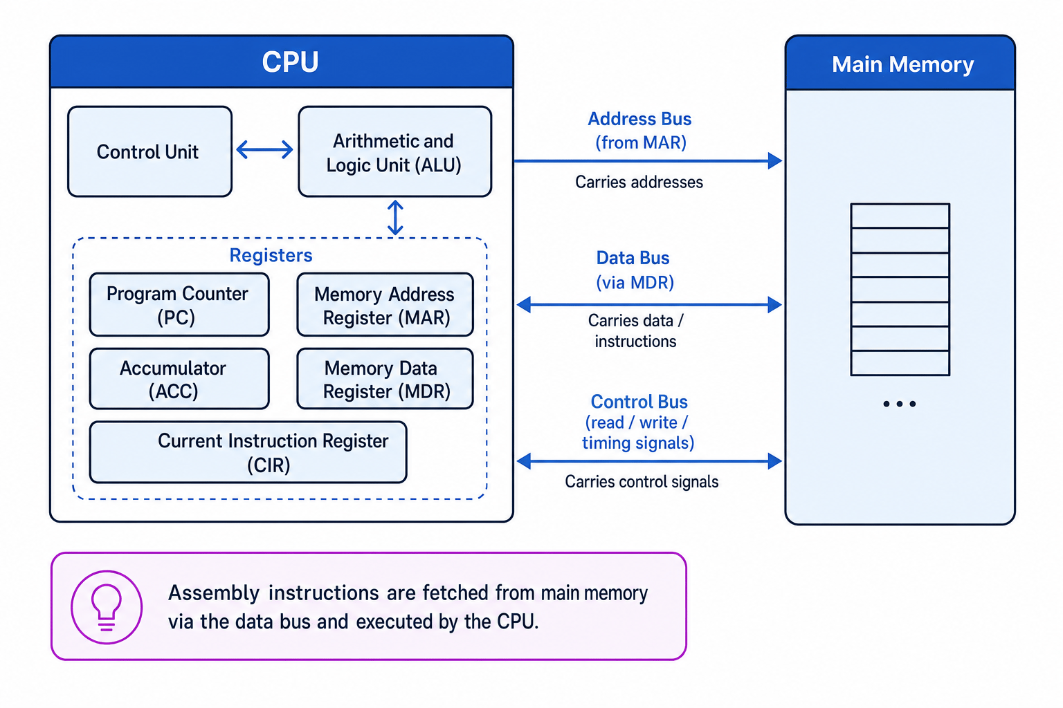 Labelled CPU block diagram showing ALU, Control Unit, registers and buses