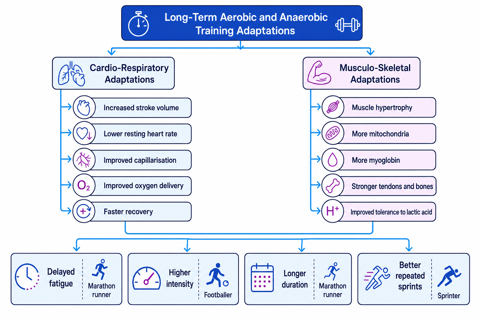 Flow diagram of long-term aerobic and anaerobic training adaptations leading to delayed fatigue, higher intensity, longer duration and repeated sprints