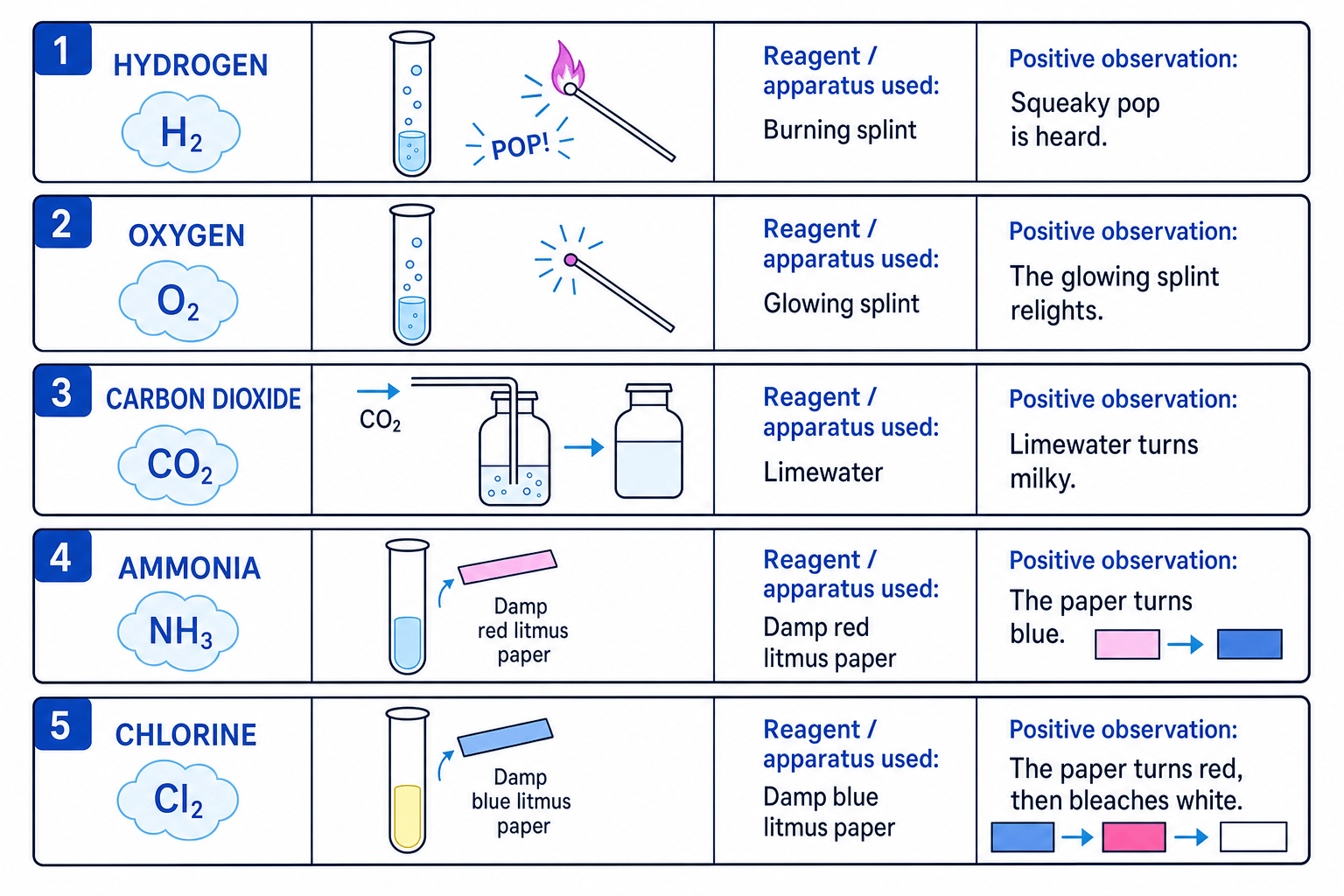 Summary diagram of gas tests for hydrogen, oxygen, carbon dioxide, ammonia and chlorine