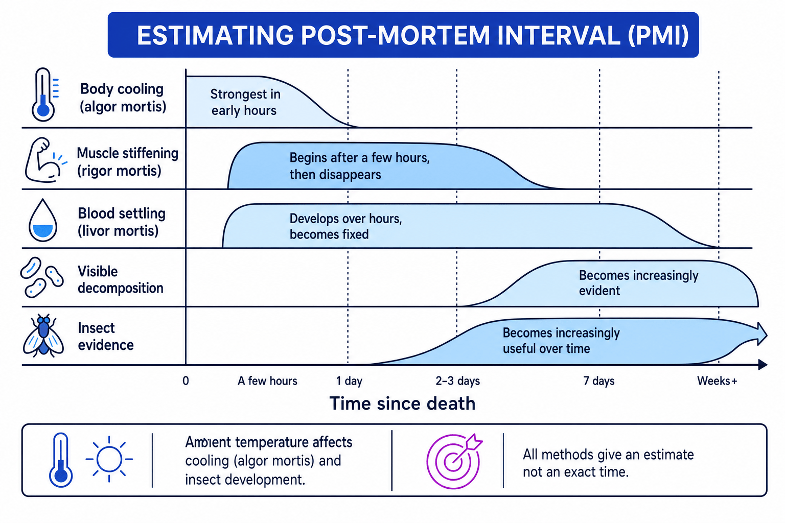 Timeline of post-mortem changes used to estimate PMI