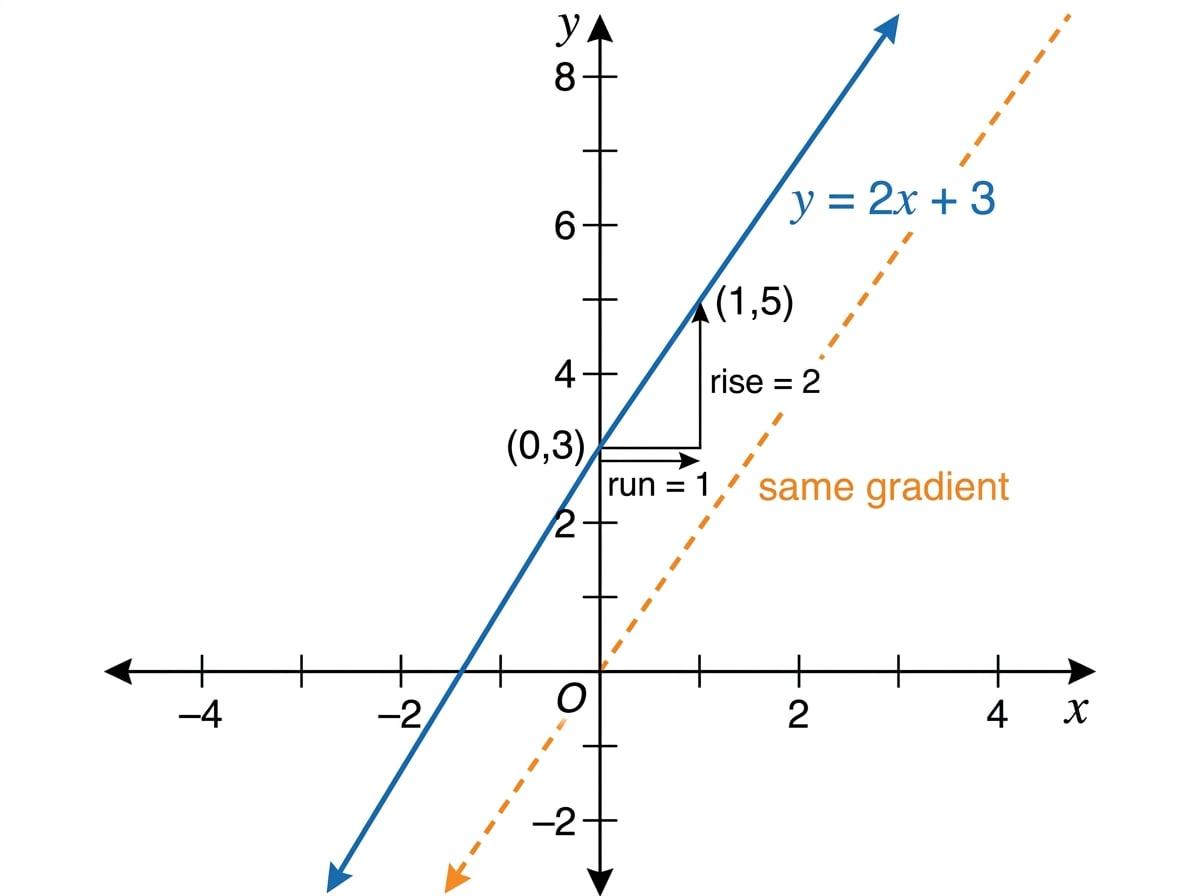 A coordinate graph showing y = 2x + 3, its y-intercept, a gradient triangle, and a parallel line