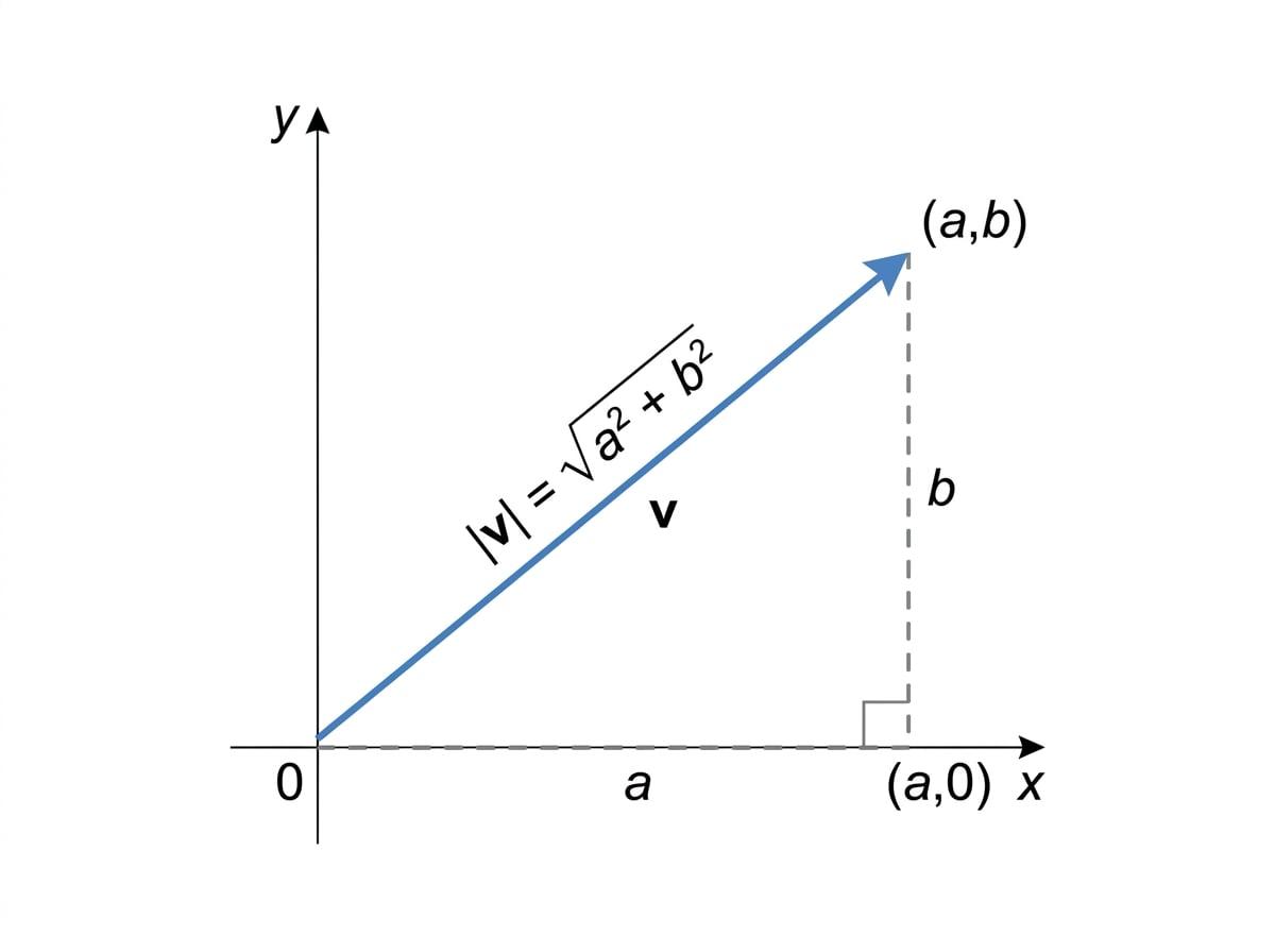 A vector split into horizontal and vertical components, showing magnitude as the hypotenuse