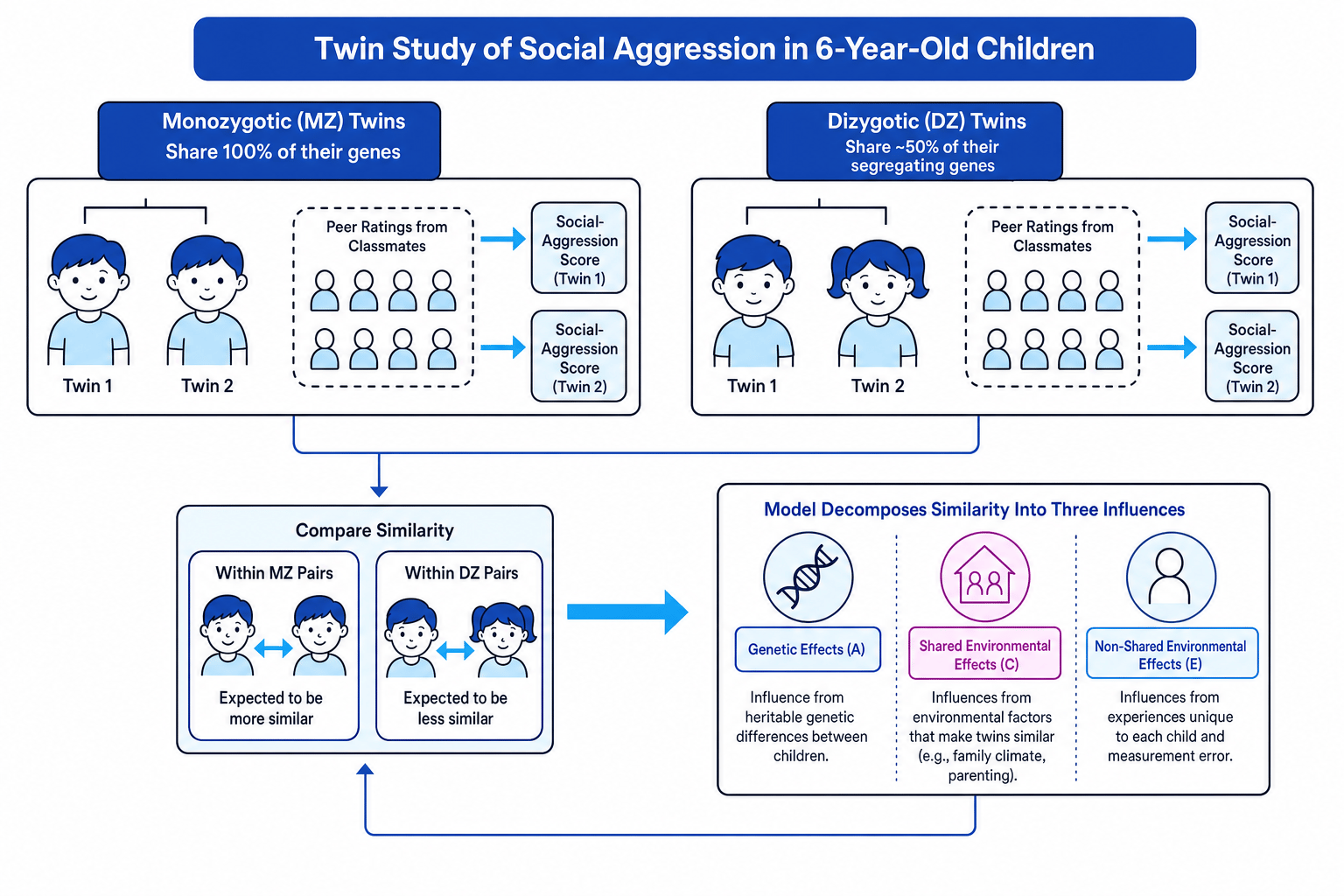 Twin study schematic showing monozygotic and dizygotic twins, peer ratings, and genetic, shared environmental and non-shared environmental effects