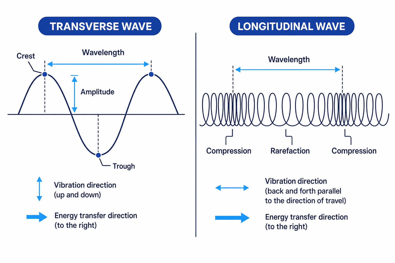 Transverse and longitudinal wave diagrams with amplitude, wavelength, compressions and rarefactions labelled