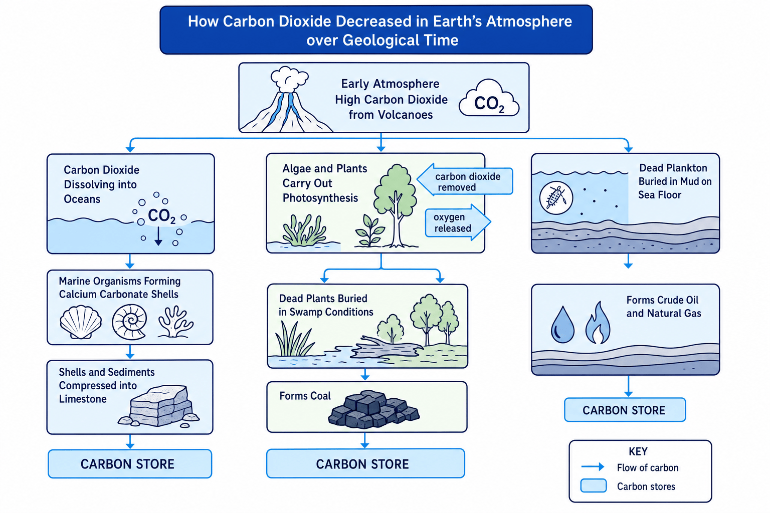 Flow diagram showing carbon dioxide decreasing through photosynthesis, limestone formation, coal formation, and crude oil/natural gas formation
