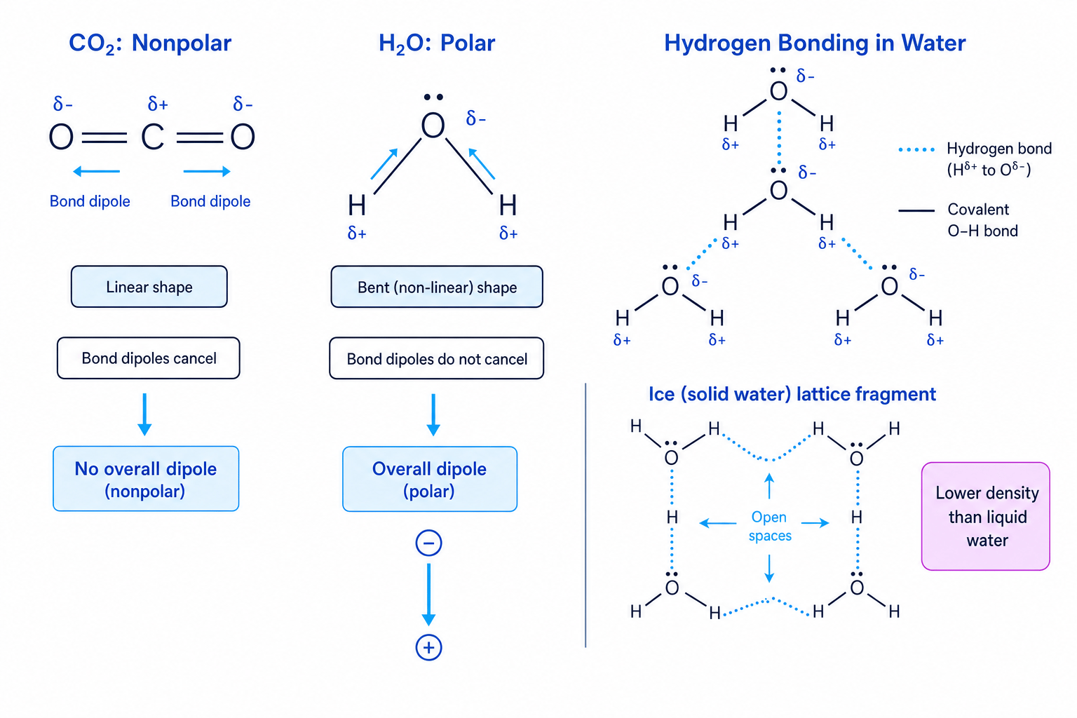 Polarity and hydrogen bonding in water