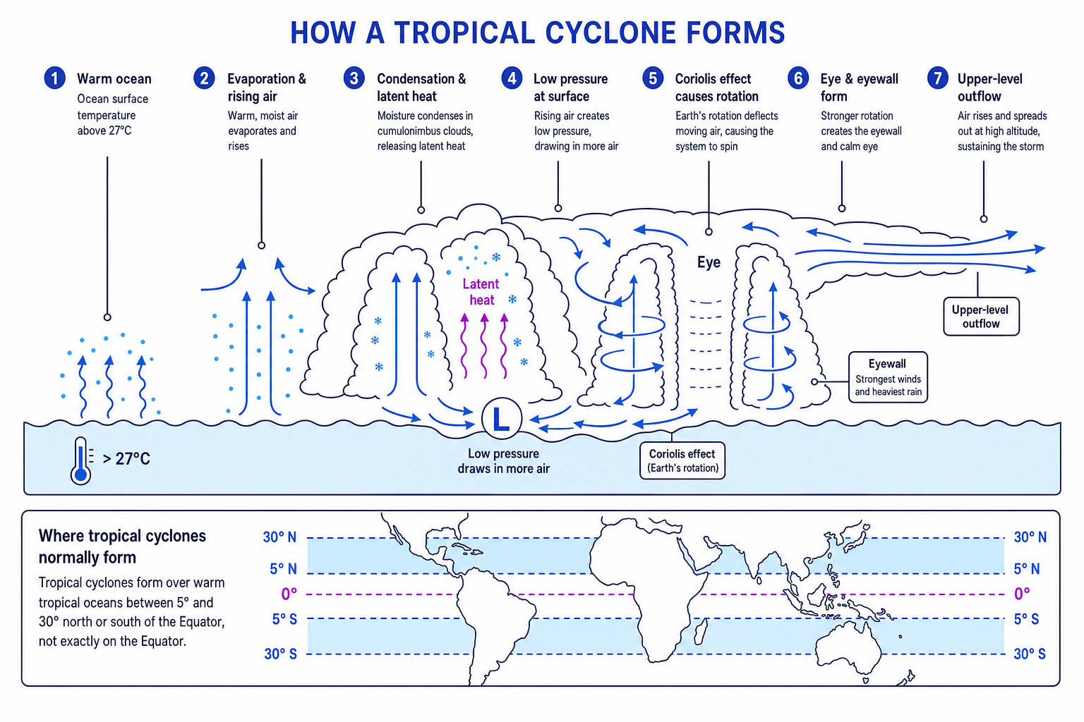 Diagram showing how a tropical cyclone forms over warm ocean water