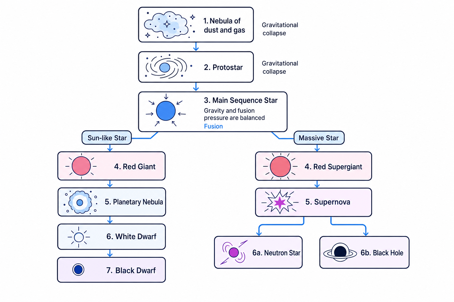 Flowchart showing the life cycle of Sun-like and massive stars