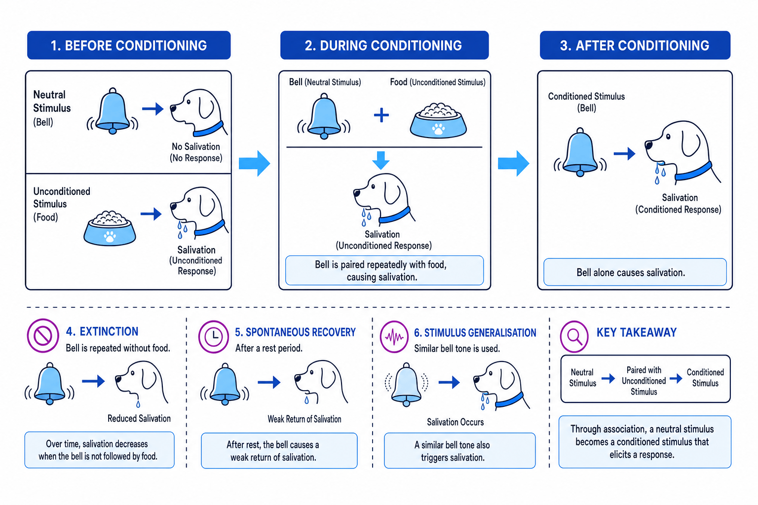 Classical conditioning sequence showing before conditioning, during conditioning, after conditioning, extinction, spontaneous recovery and stimulus generalisation