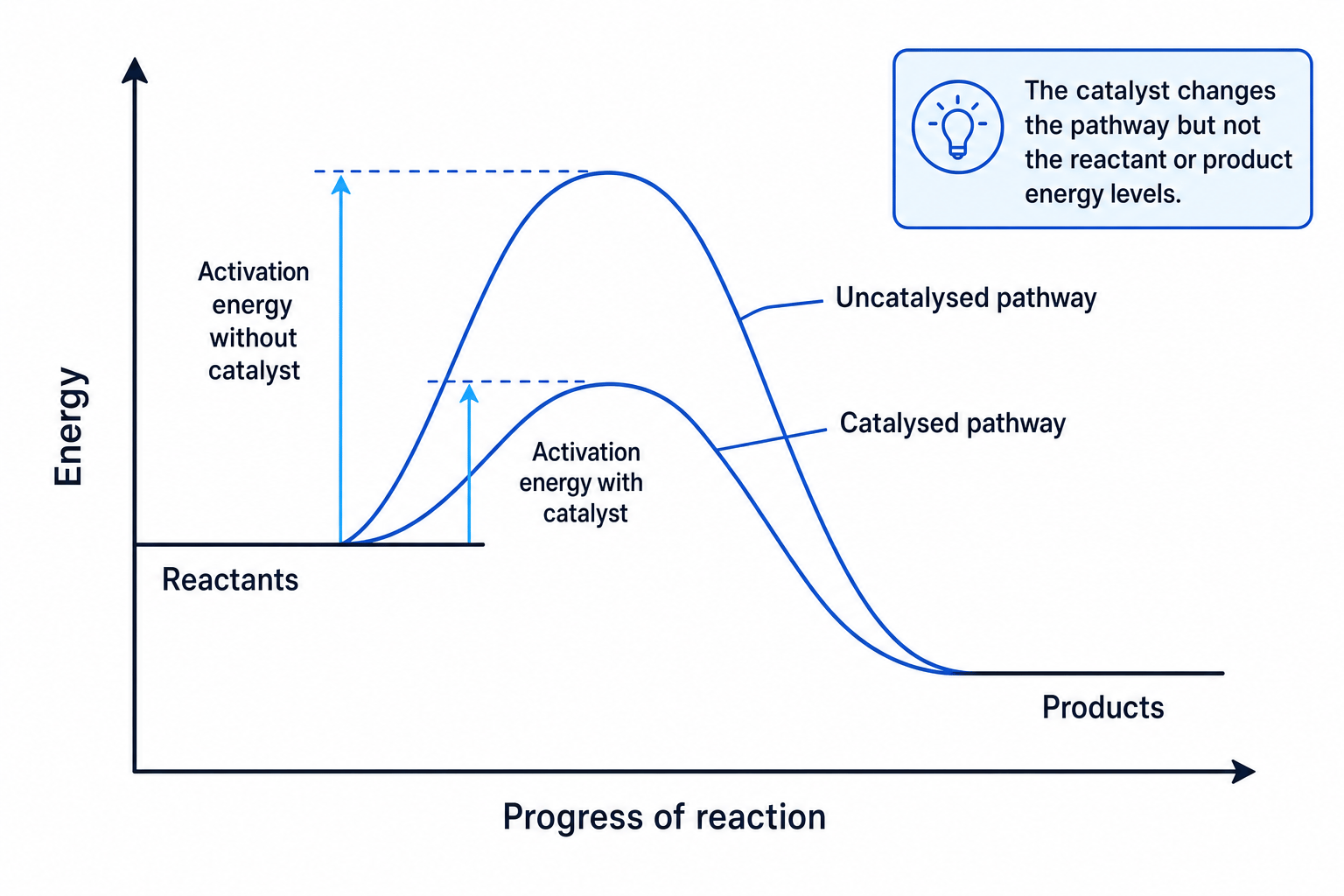Reaction profile diagram comparing uncatalysed and catalysed pathways with different activation energies