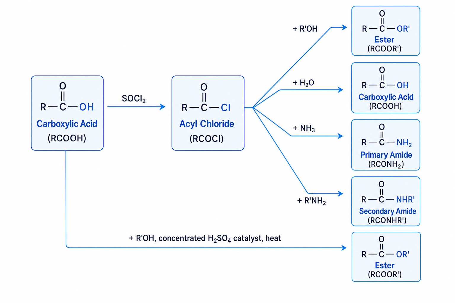 Synthetic routes of carboxylic acids, acyl chlorides, and esters