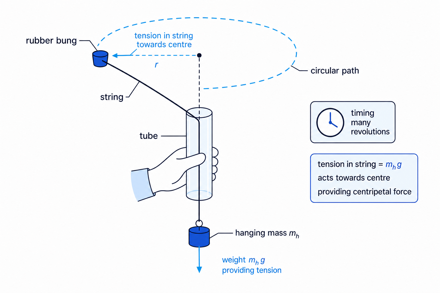 Whirling bung experiment with hanging mass providing tension