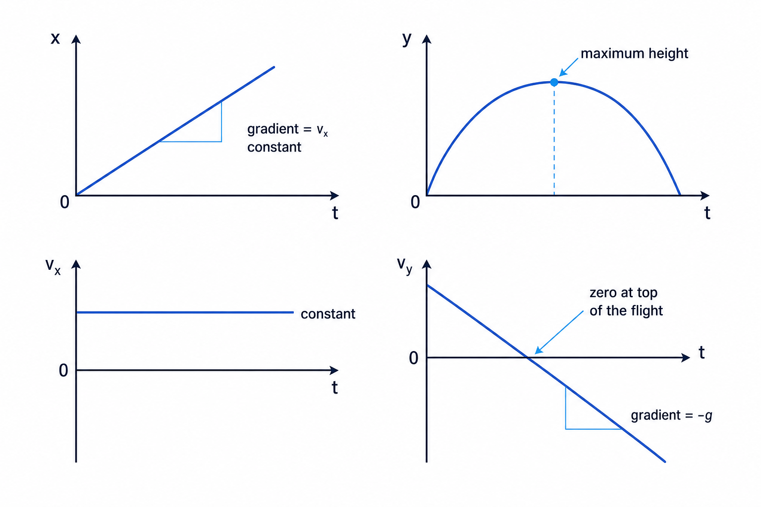 Projectile motion graphs for horizontal displacement, vertical displacement, horizontal velocity and vertical velocity