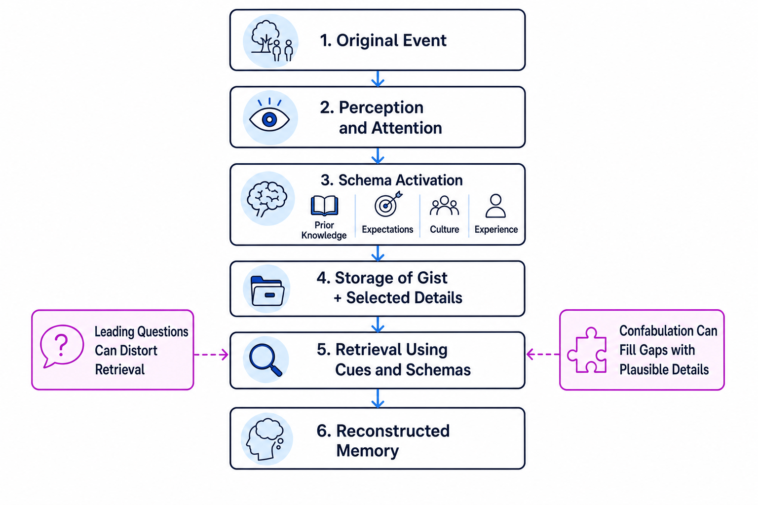 A flow diagram showing reconstructive memory from original event through schemas, gist, retrieval, leading questions and confabulation