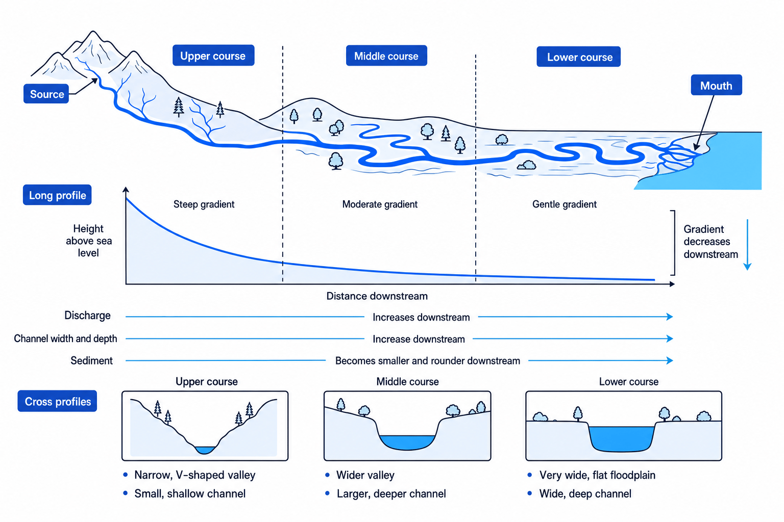 Long and cross profile changes from source to mouth