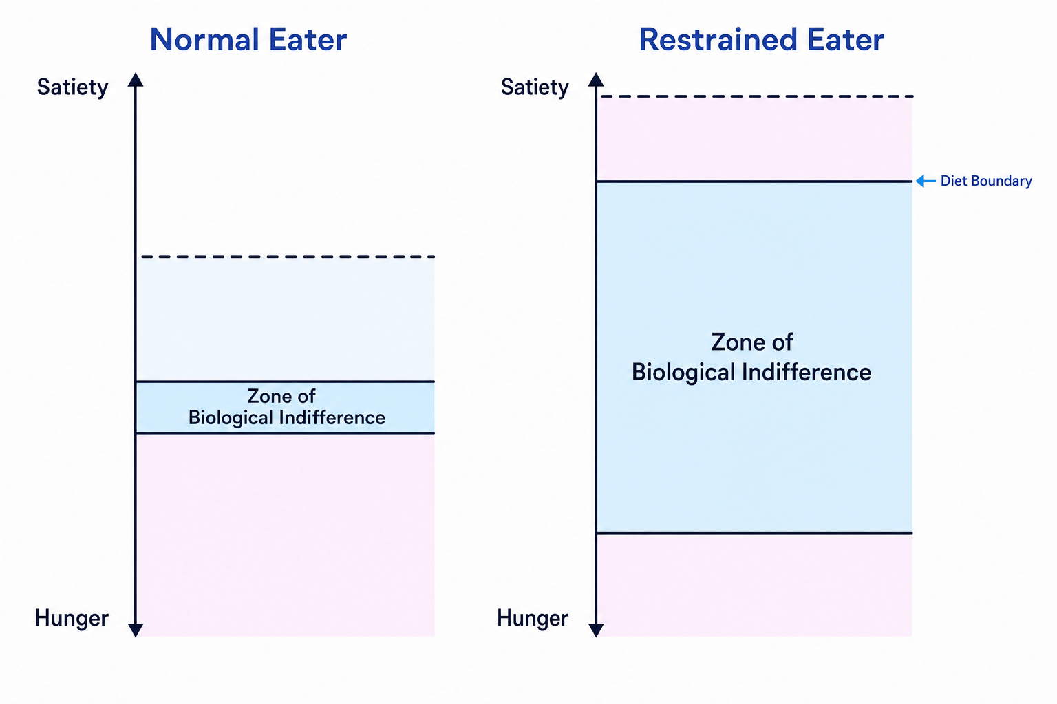 The Boundary Model