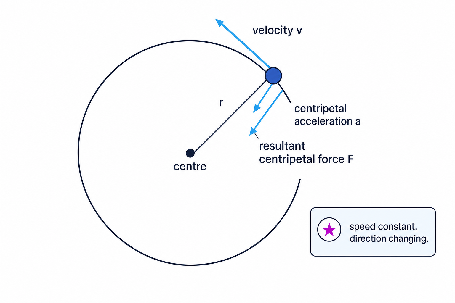 Circular motion showing tangent velocity and inward centripetal acceleration and force