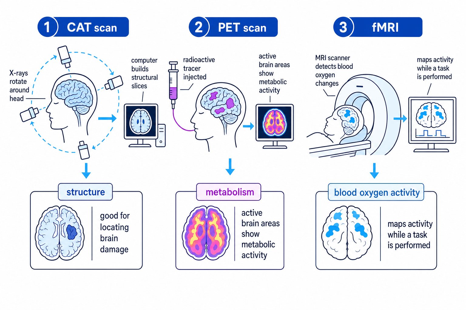 Comparison of CAT, PET and fMRI brain-scanning techniques