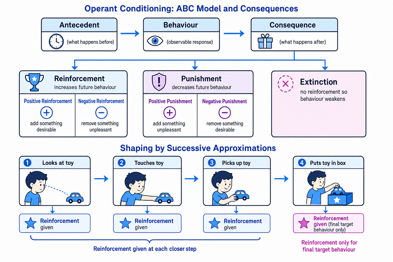 Operant conditioning ABC model and shaping by successive approximations