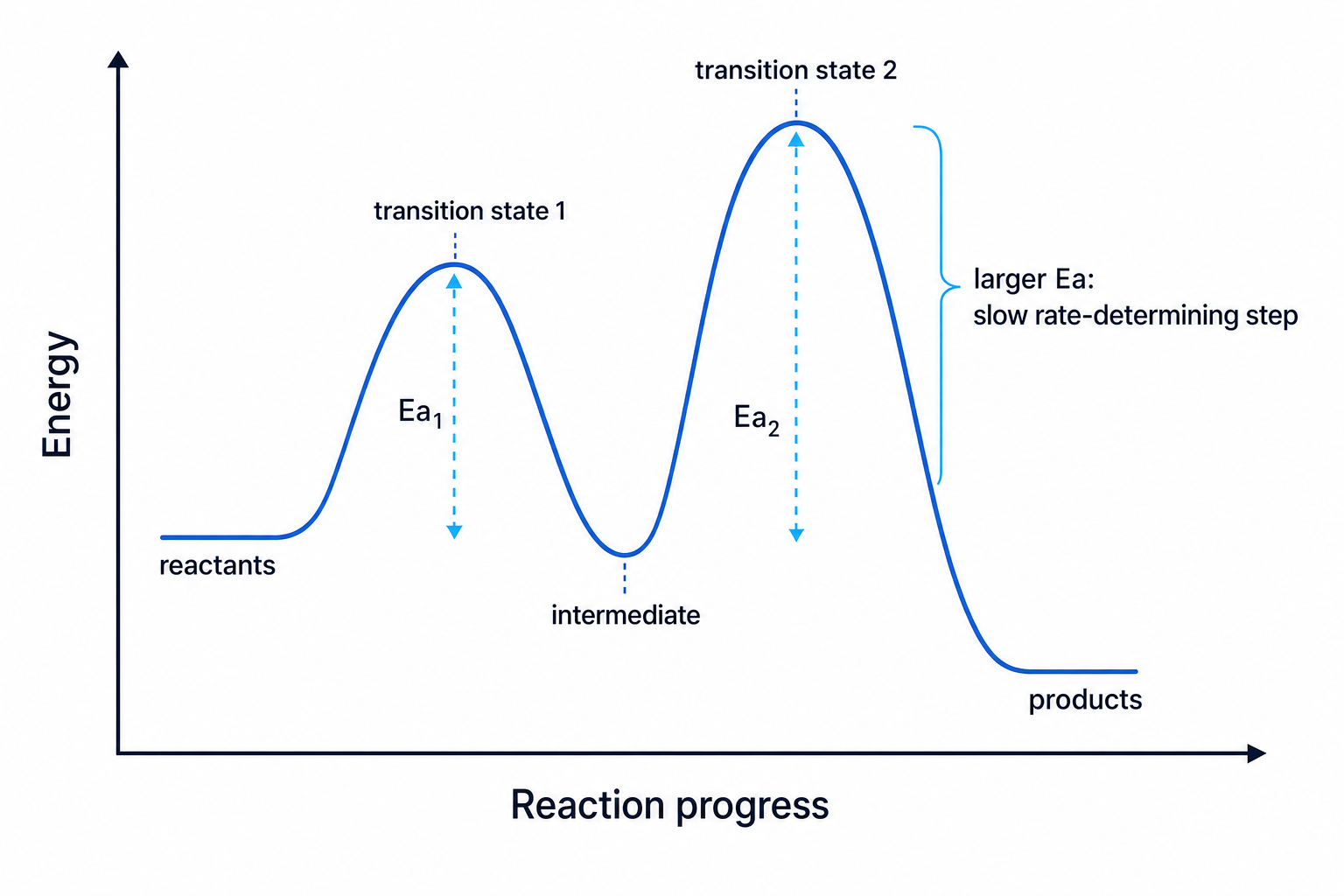 Two-step reaction profile showing intermediate and slow rate-determining step